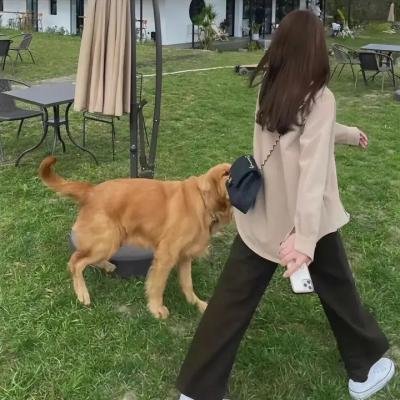 尼姆的实验